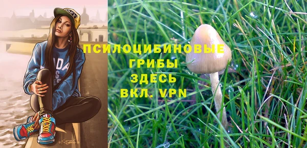 Альфа ПВП Алексин