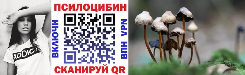 Псилоцибиновые грибы Psilocybine cubensis площадка Telegram Баймак